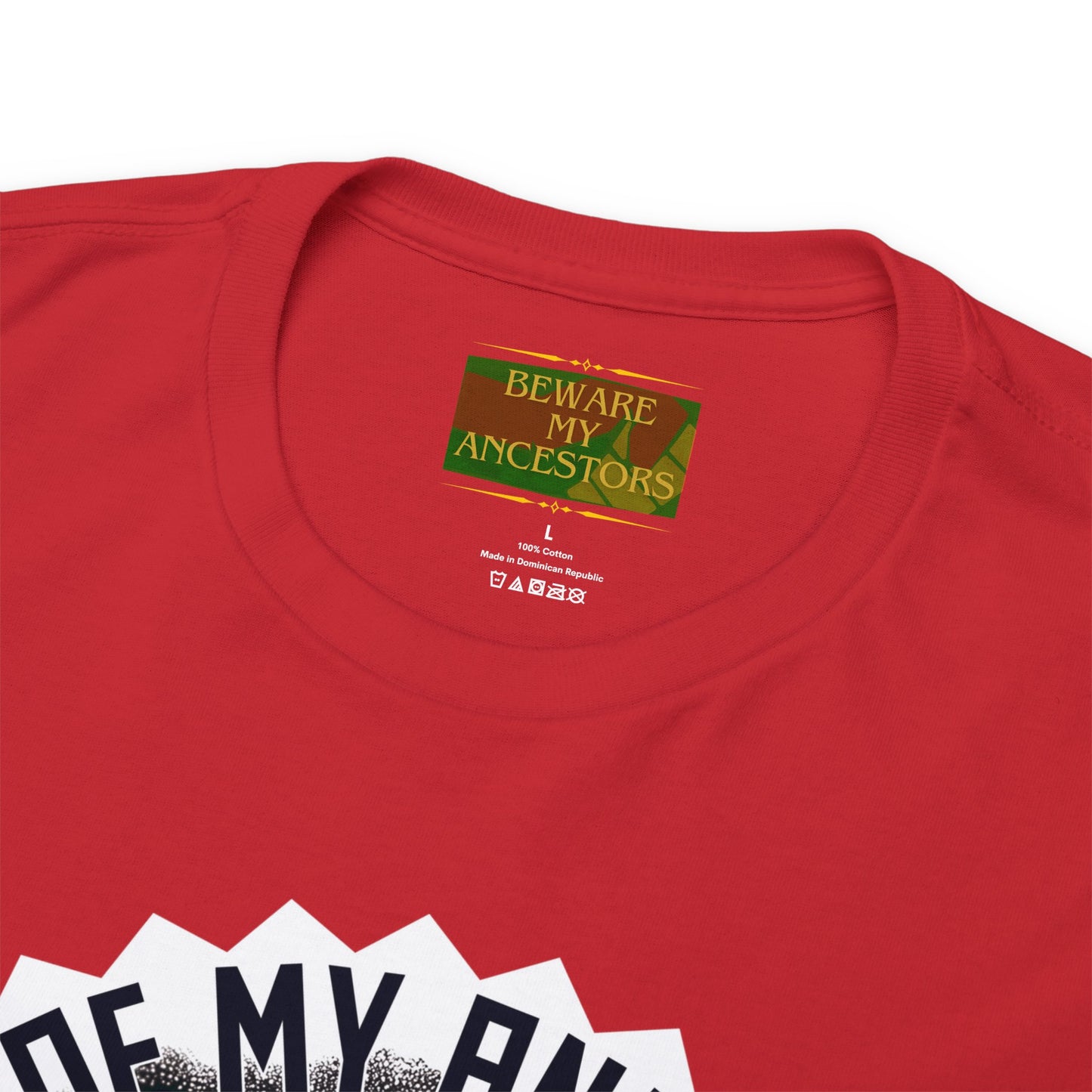 Beware My Ancestors - The Sons Tee