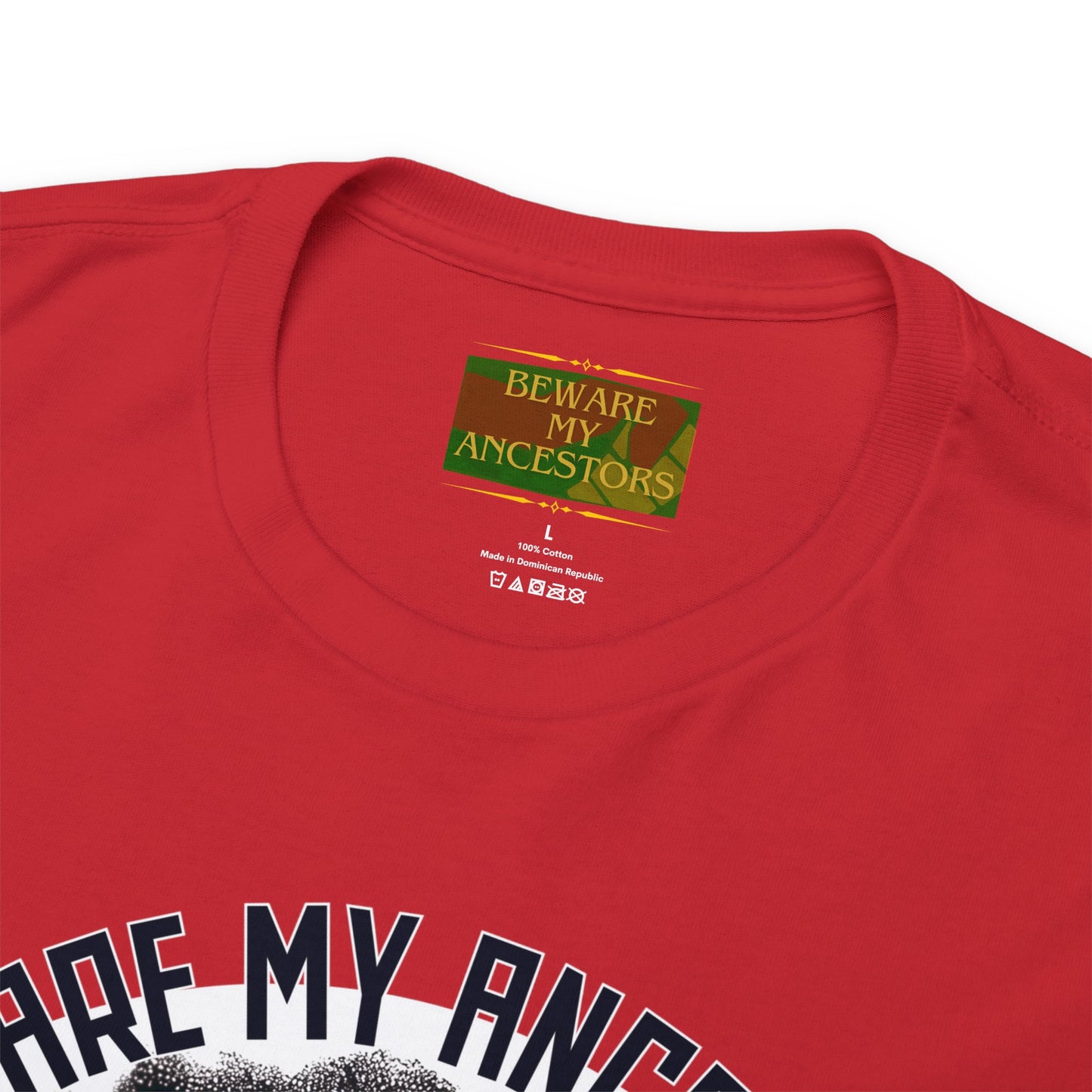 Beware My Ancestors - The Sons Tee